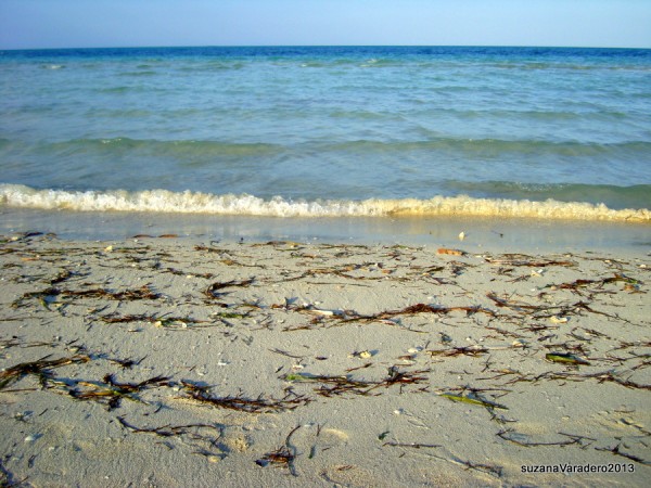 Varadero beach